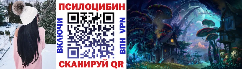 Галлюциногенные грибы Cubensis  дарнет шоп  Сусуман 