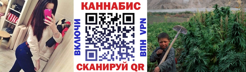Конопля SATIVA & INDICA Сусуман